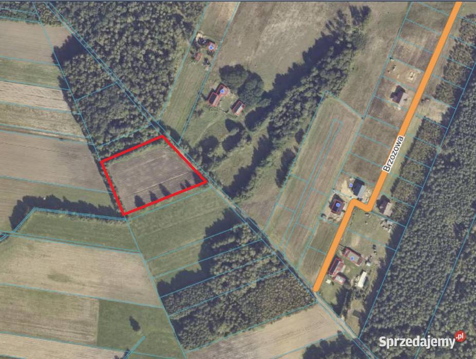 Działka budowlana 57 arów lesie cisza spokój Drzewce