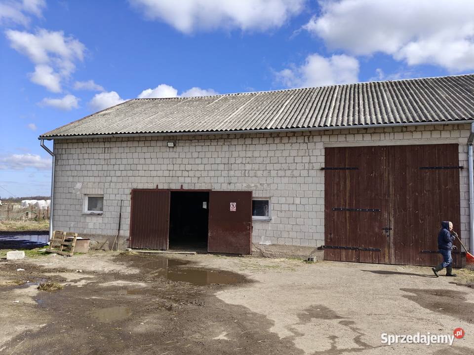 Syndyk sprzeda Karwacz rekreacyjny sprzedam