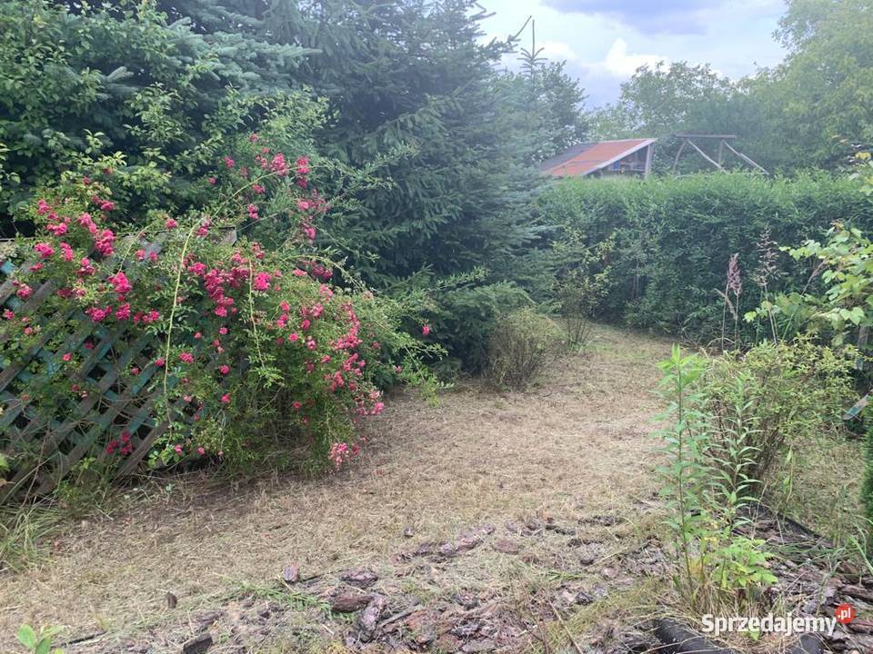 Ogródek działkowy ROD Miejski w Czeladzi śląskie Czeladź