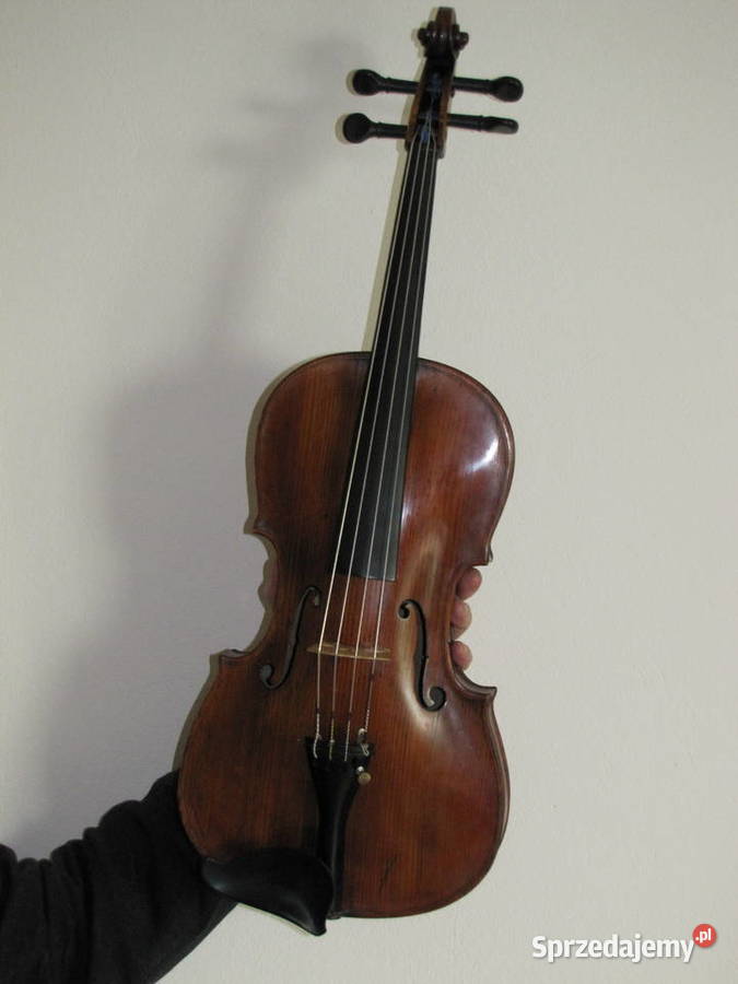 Altówka Lutnicza Świdnica Polska