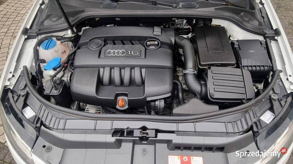 Audi A3 Sportback 16 8V Automat Climatronic Płońsk