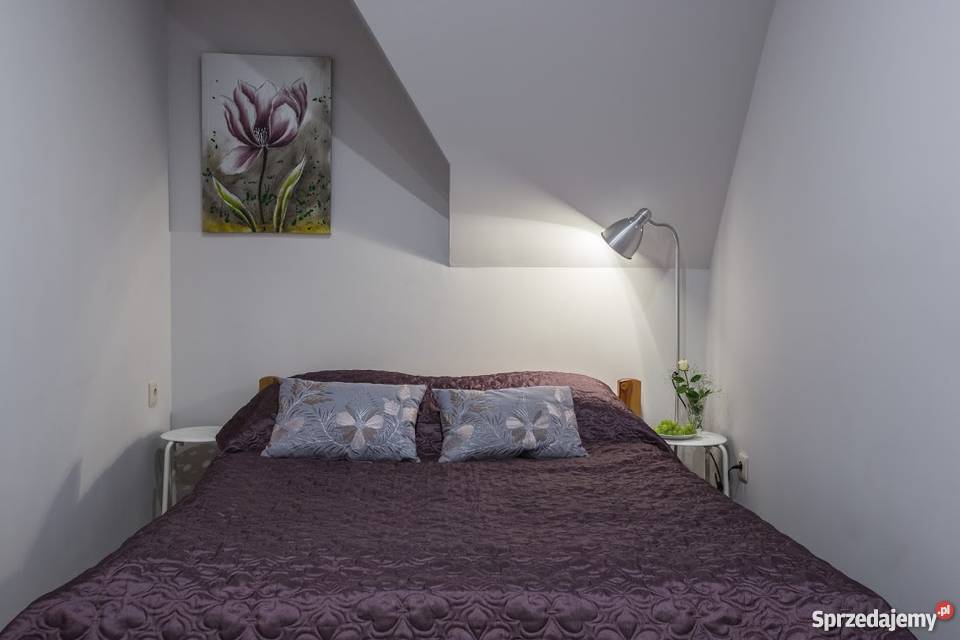 Wynajem pokoi i apartamentów w centrum Zakopane