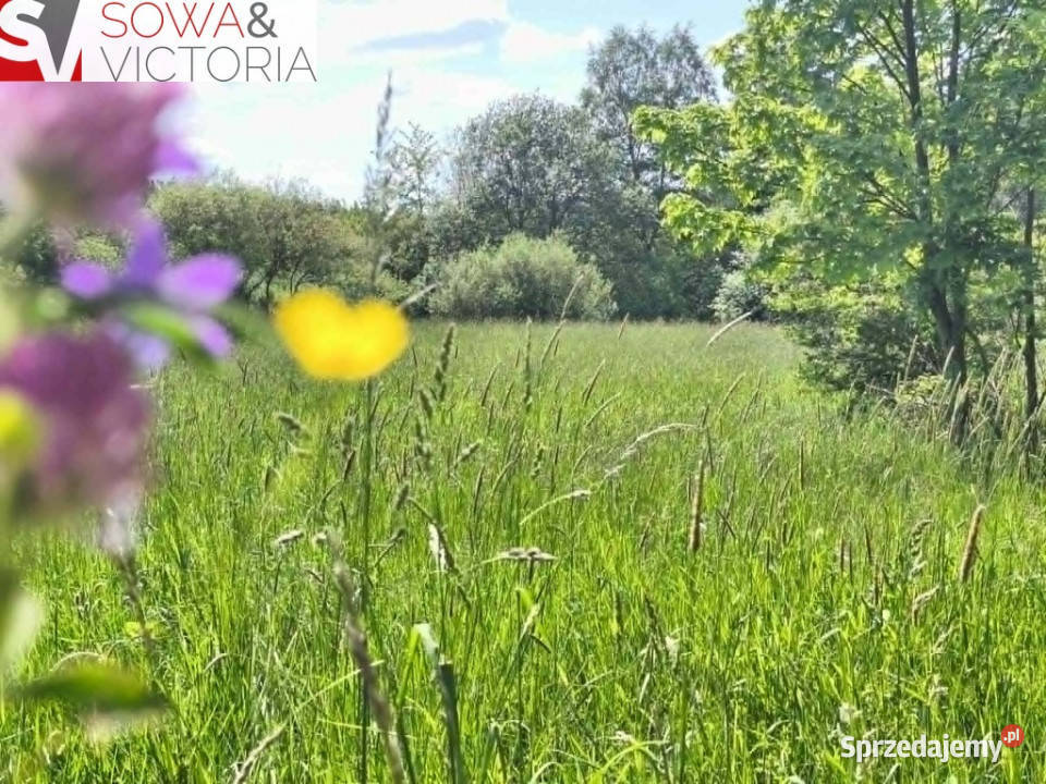 Malownicze działki mieszkaniowo rekreacyjne Sprzedaż Sierpnica