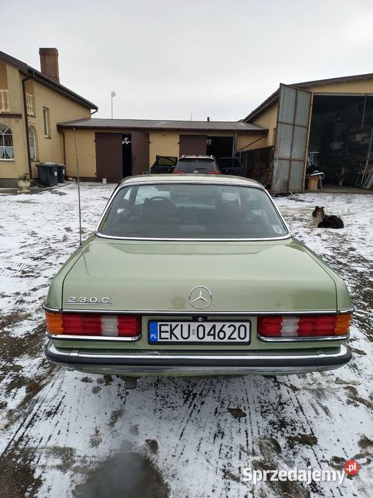 Mercedes w123 COUPE 230cm3 łódzkie Żychlin