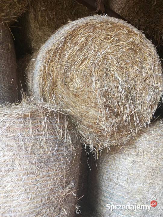 Słoma Miłochniewice