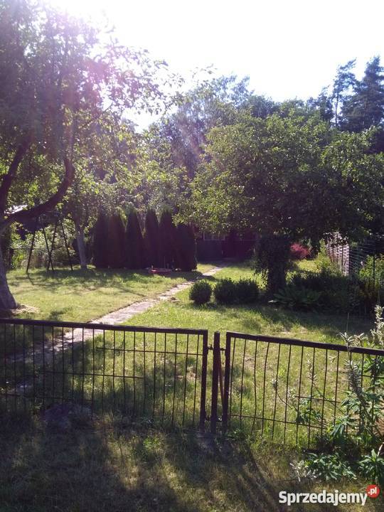 działka ogrodnicza ROD Wójtowa Rola 19zł/m2 warmińsko-mazurskie