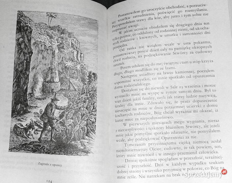 Przypadki Robinsona Kruzoe Daniel Defoe Chełm