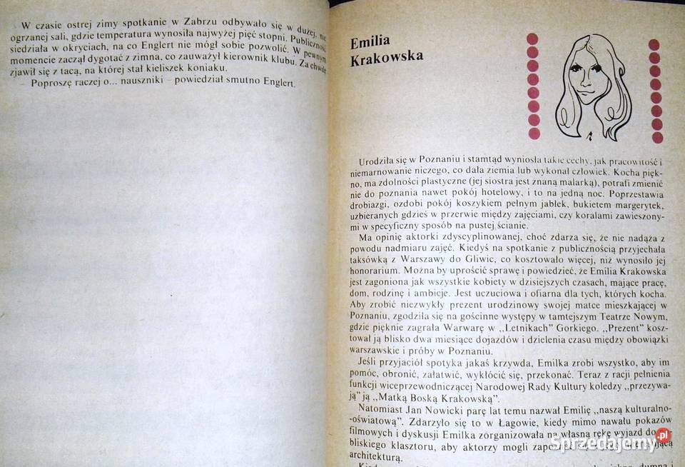 Rodzynki migdały Alina Budzińska Chełm