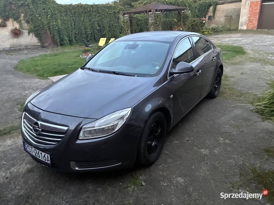 OPEL INSIGNIA Hatchback Stara Dąbrowa sprzedam
