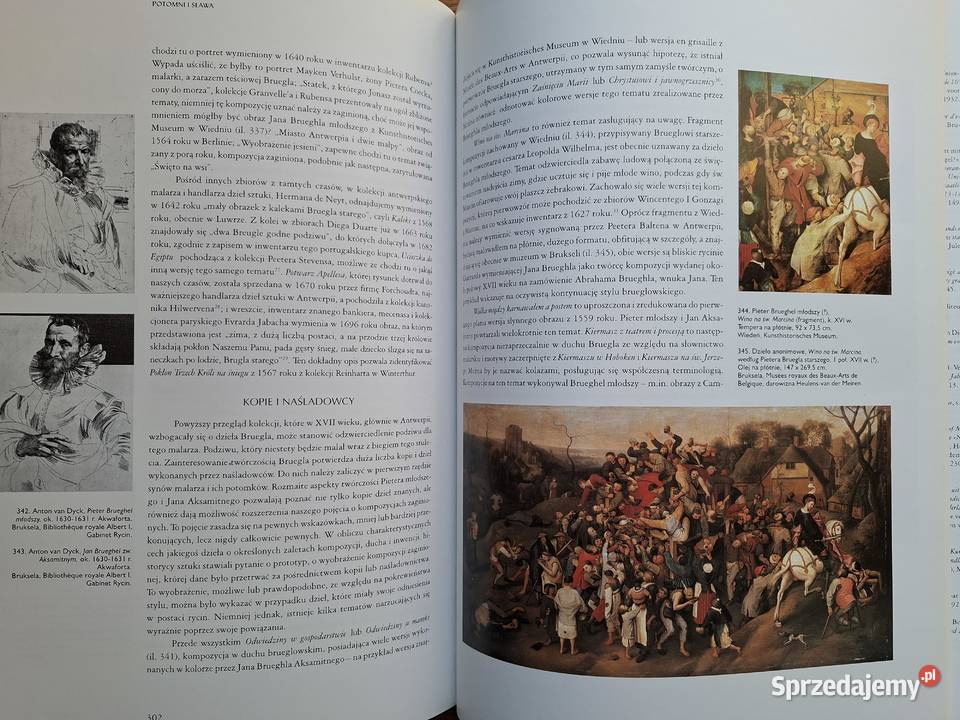 Bruegel Philippe i Francoise Roberts Jones Kraków