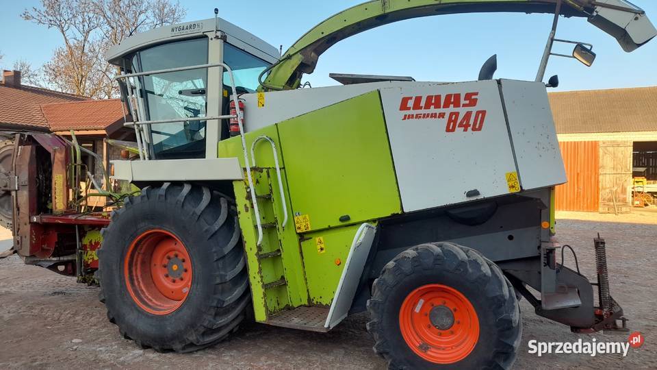 Sieczkarnia Class Jaguar 840 4x4 Heder do Lubień Kujawski