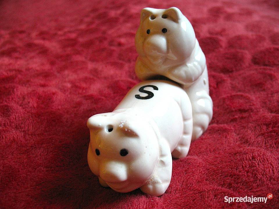 Sól i pieprz Świnki 8 x 5 x 5 Solniczka i biały Siedlce