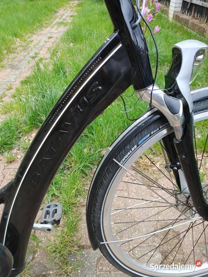 Rower elektryczny BATAVUS Padova pasy royal mazowieckie