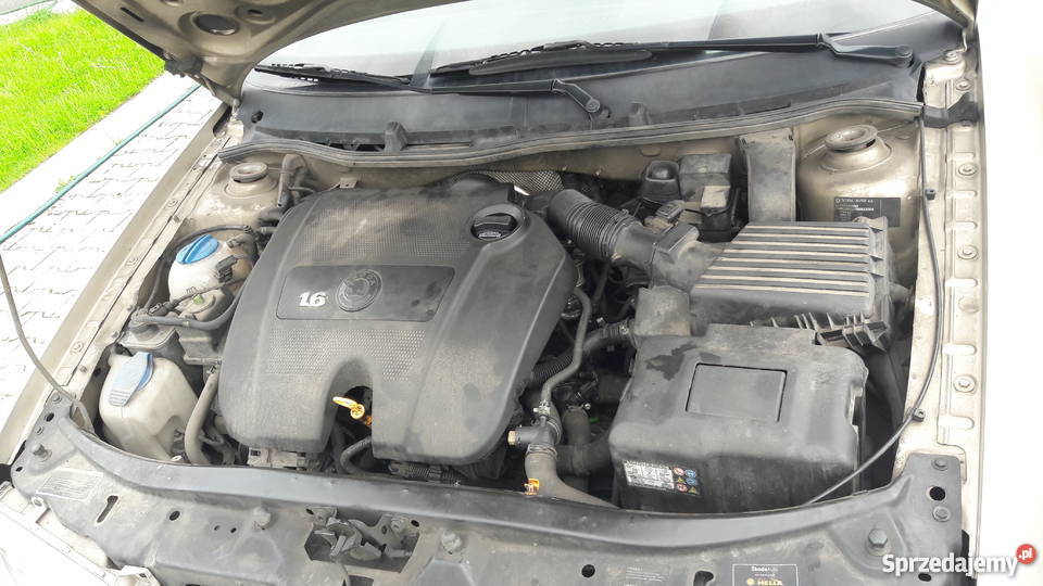 Salonowa Skoda 16 102 Serwis ASO I Właściciel Octavia Siedlce sprzedam