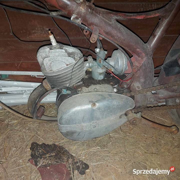 Komar 231 231b 232 sztywniak śląskie Jaworzno