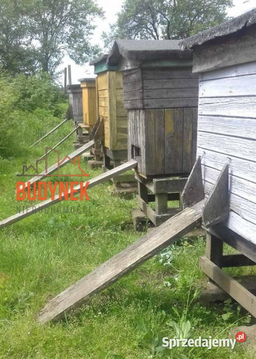 Gospodarstwo rolne Sławno