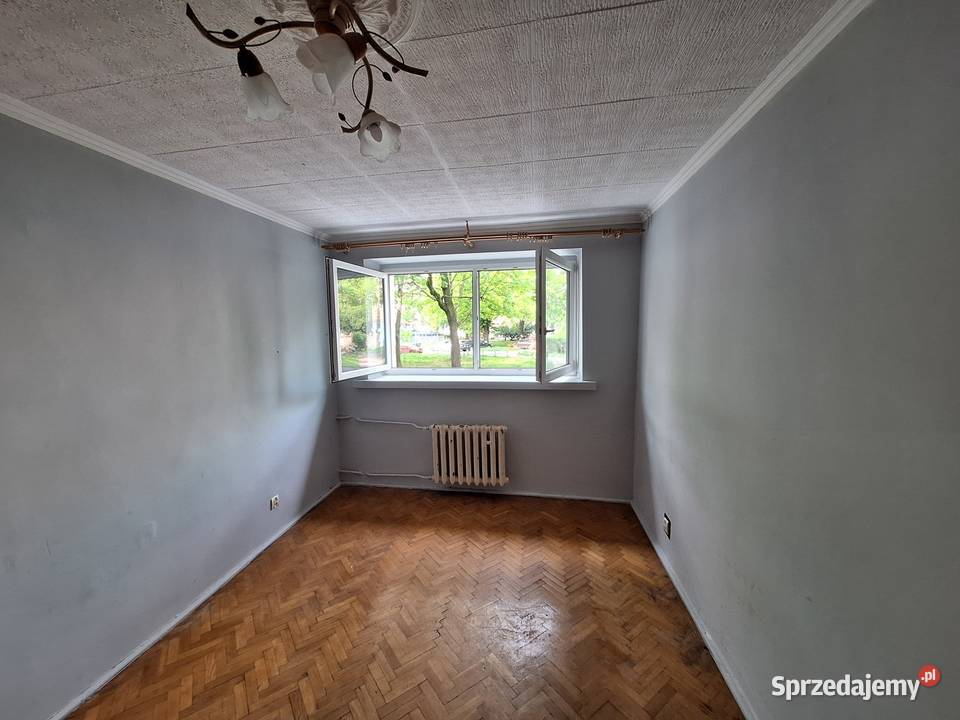 3pok 52met Grabskiego PIWNICA Wrocław