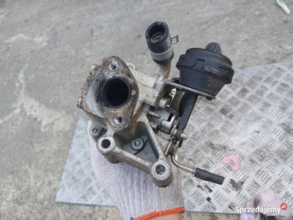 Zawór EGR Chłodniczka 284102A850 Hyundai Kia 17 Recyrkulacja spalin EGR Radłów
