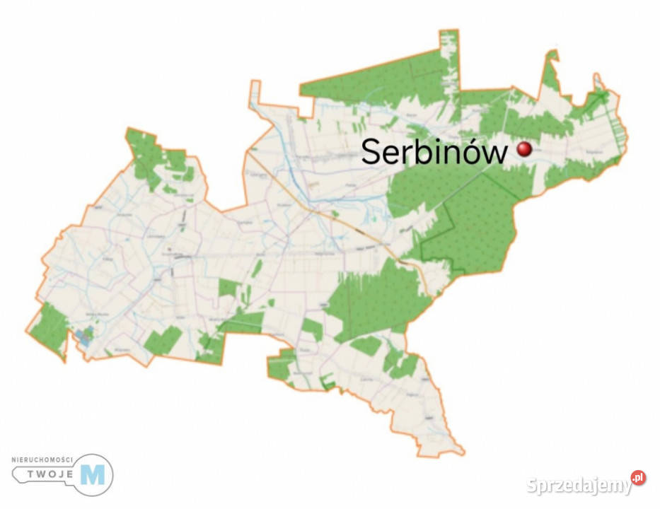 sprzedaży działki Mniów 5000 metrów