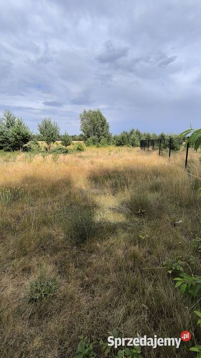 Sprzedam działkę 17 PKP Studzianki Nowe utwardzona