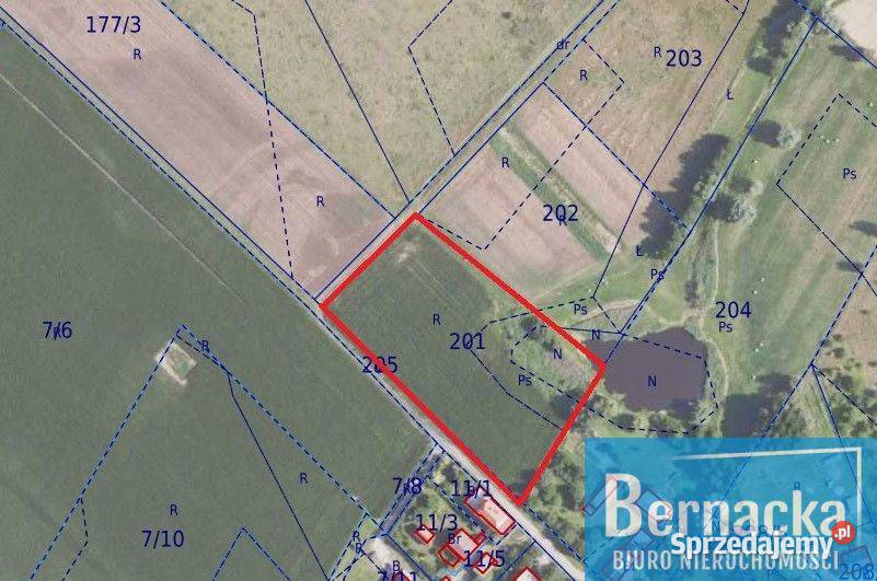 Działka rolna w Prężycach Prężyce