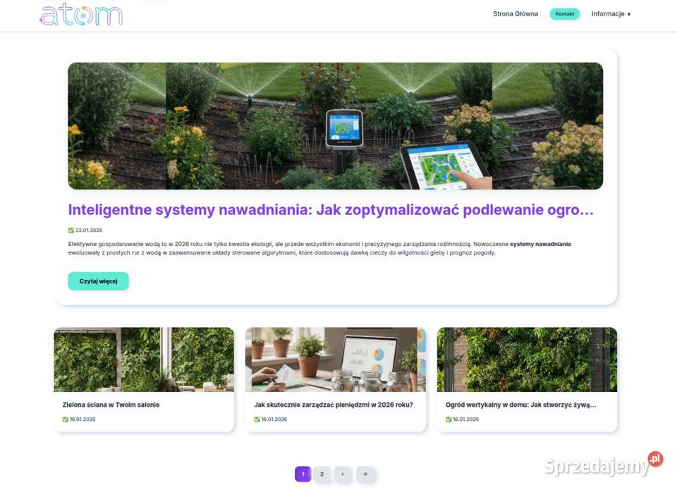 Sprzedam gotowy szablon do stworzenia strony Warszawa