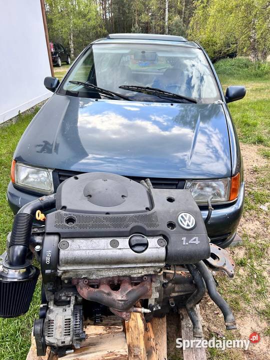 VW polo 6n 1998 14 8v AEX na części Rok produkcji 1998 Skórcz sprzedam