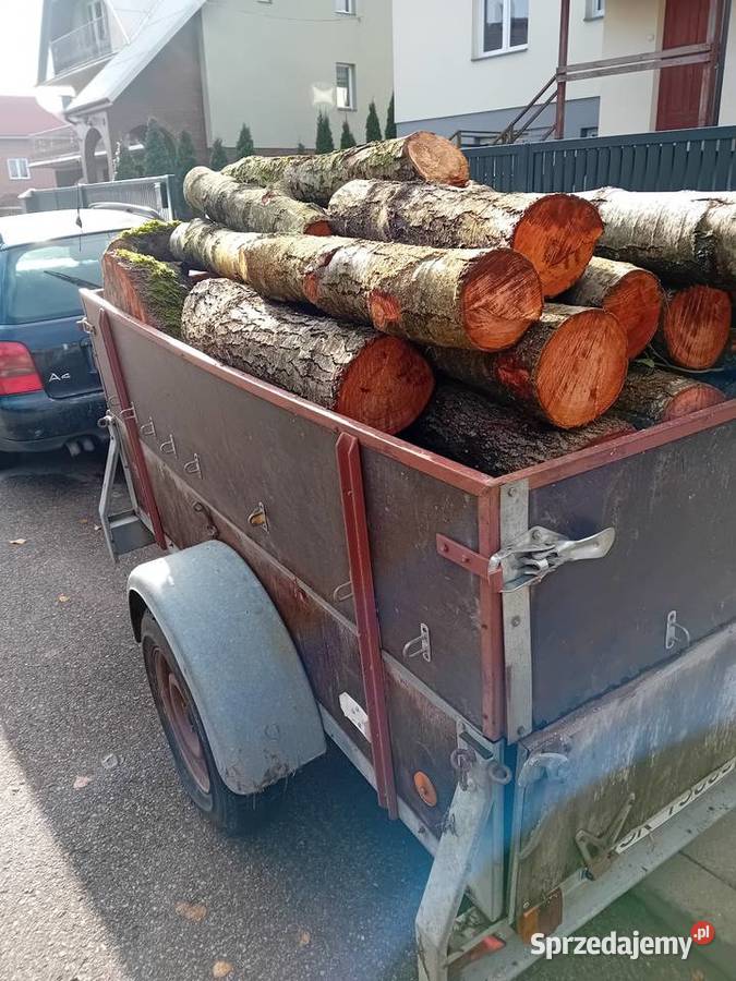 Przyczepka Paul Sokółka