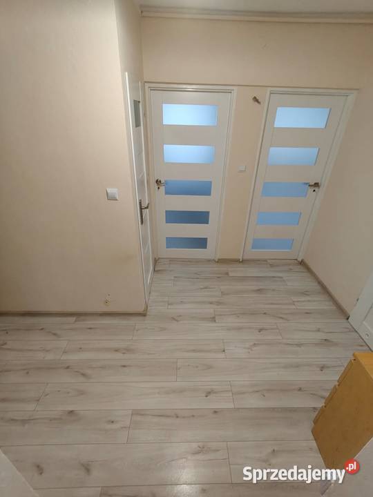 Myśliwska Świeżo poRemoncie 2 pokojowe kuchnia Kraków sprzedam