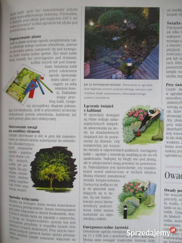 1001 sposobów na piękny ogróduprawa kwiaty dom i ogród Łódź