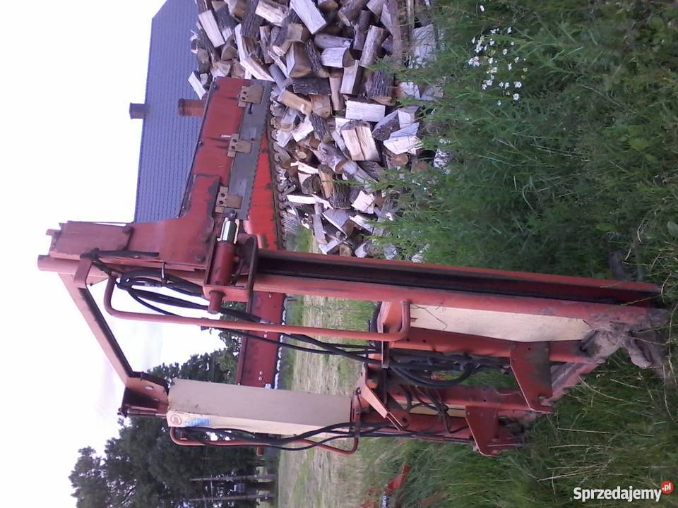 Wycinak Targonie Wielkie