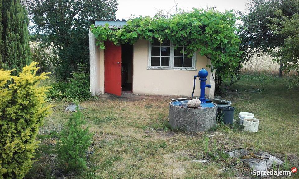 Sprzedam działkę ROD KRAJNA 380 m kw woda Sępólno Krajeńskie sprzedam