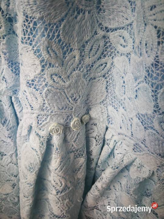 Niebieska koronkowa sukienka Zielonki