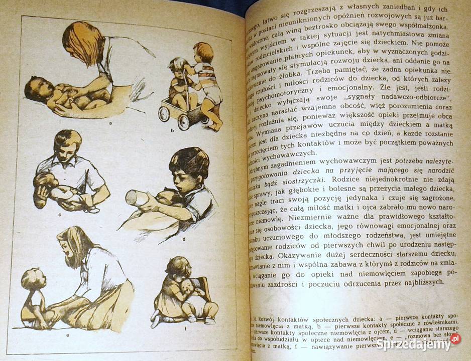 Nasze dziecko Jadwiga KopczyńskaSikorska Pozostałe Chełm sprzedam