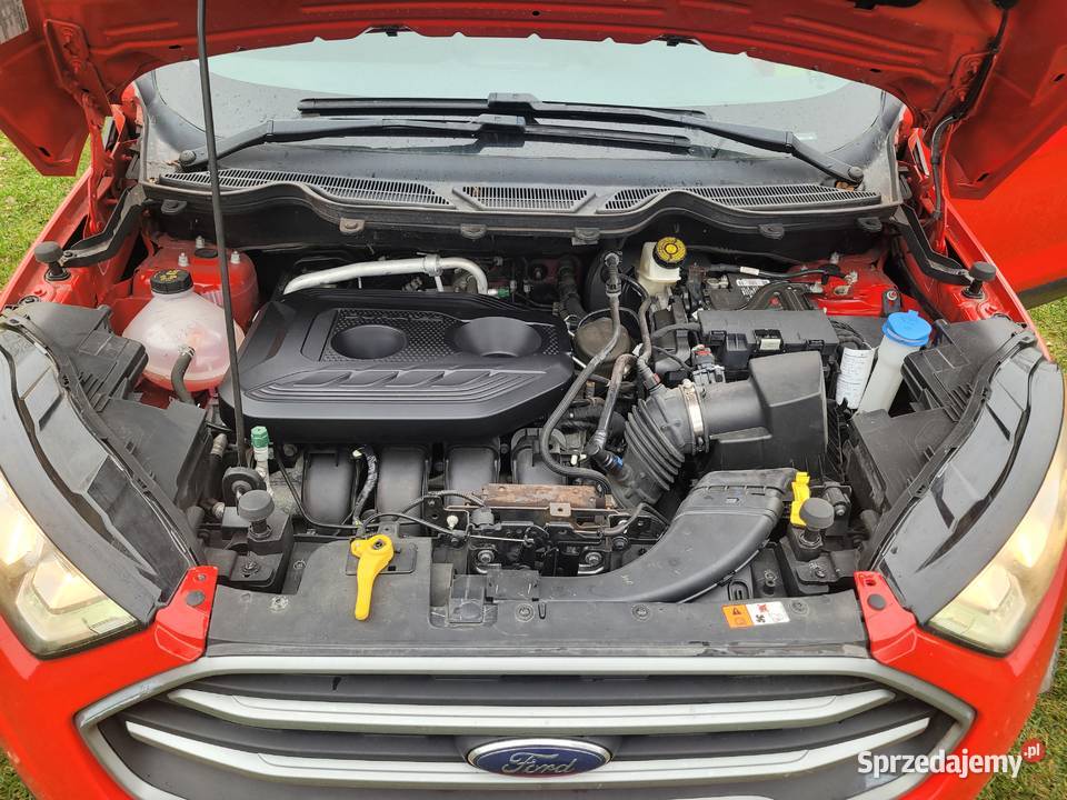 FORD ECOSPORT 2022R 20 166 AUTOMAT 4X4 lubelskie Lublin