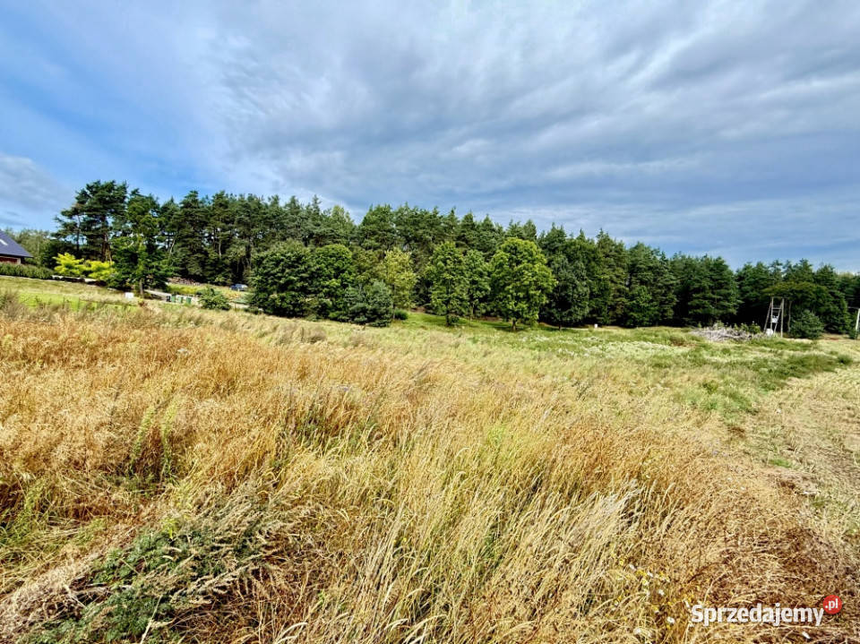 Duża działka 6000 m w Demlinie spokój natura i