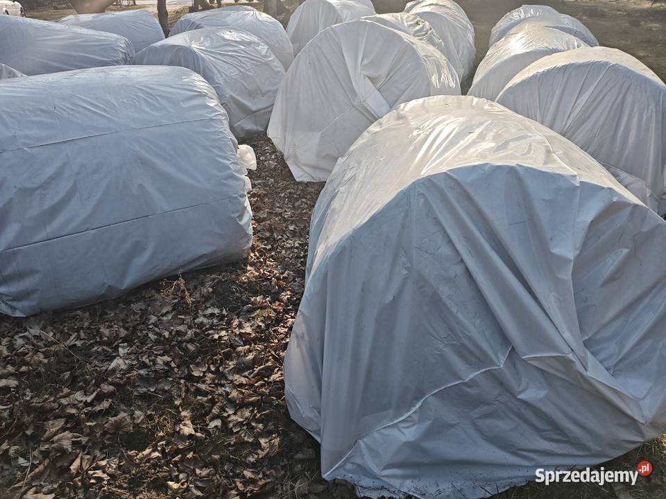 Bele sianokiszonka lucerna i koniczyna baloty Nowe Hołowczyce