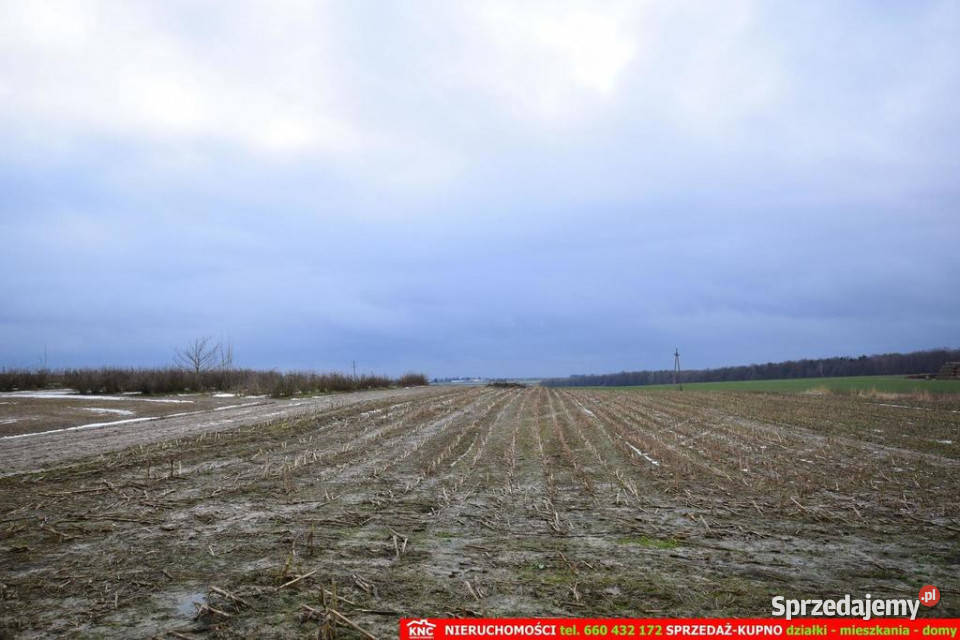 Wierciszów działki budowlane MN media 100 39m