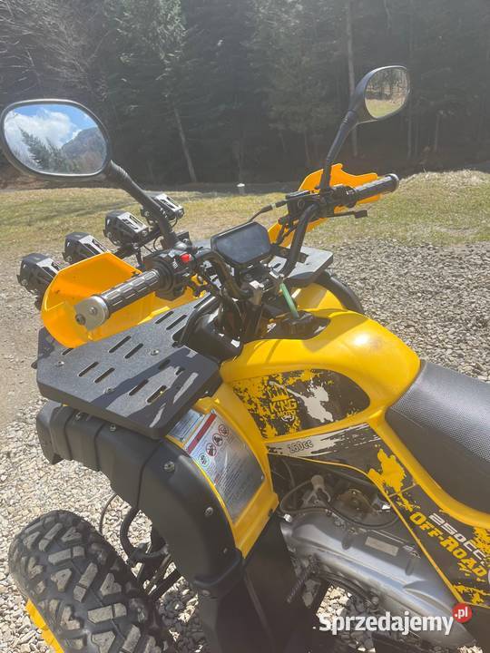 Quad king moto hammer nowy duża rama