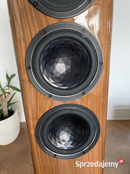 Elac Vela FS 409 Speakers