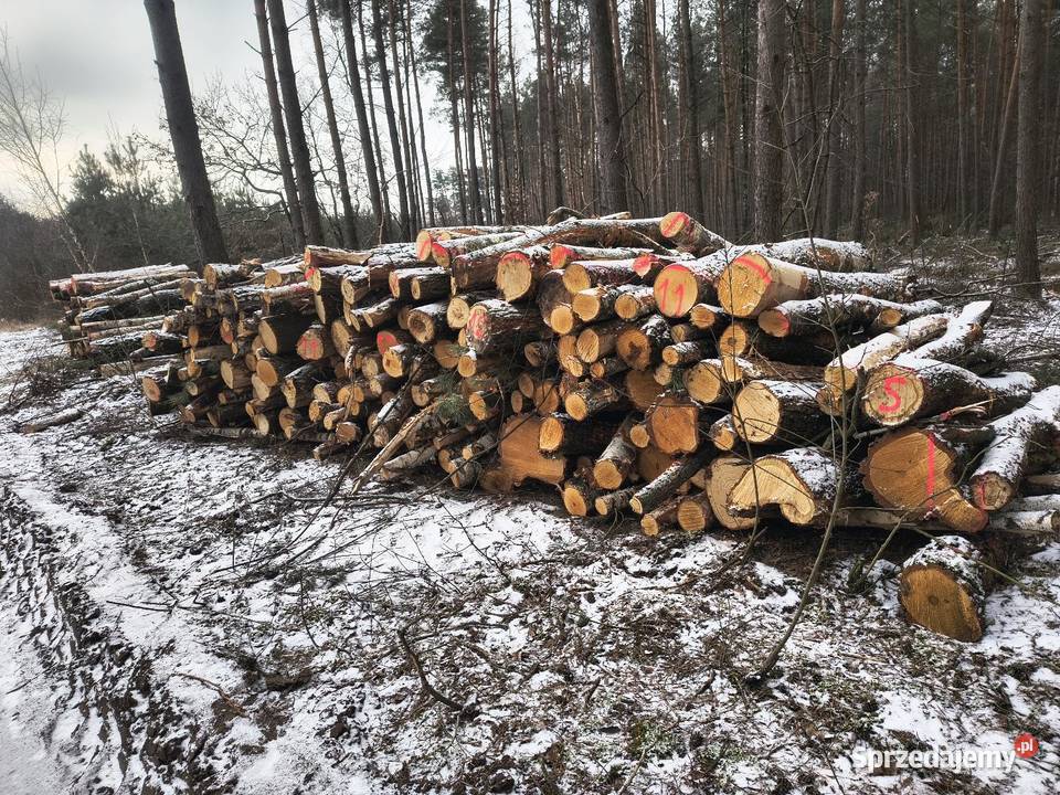 Drzewo opał olszyna inne transport Żuromin sprzedam
