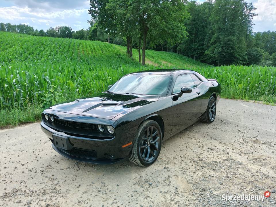 Dodge Challenger SXT PLUS 36 V6 BLACK TOP 2019r Rok produkcji 2019 Challenger Lublin