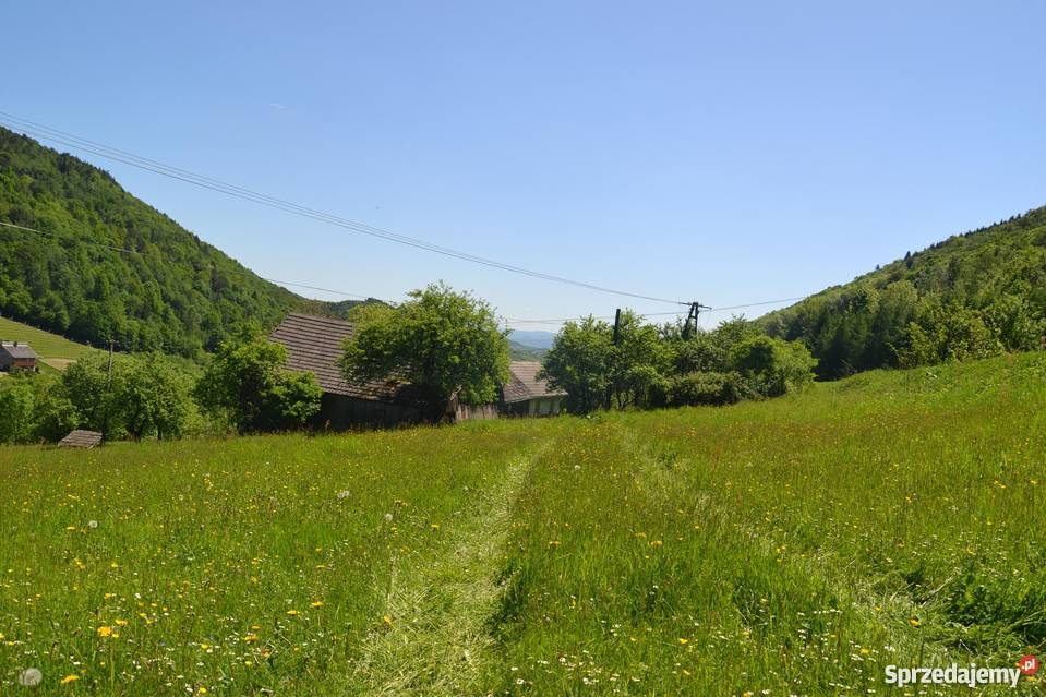 Działka gospodarstwo rolne Łukowica Nieruchomości Łukowica sprzedam