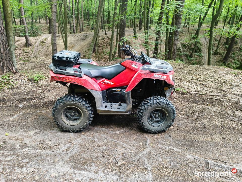 Arctic Cat