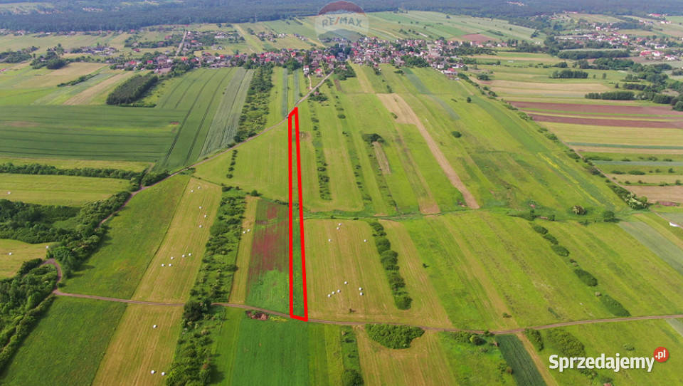 Działka rolna PorębaNiwki sprzedam