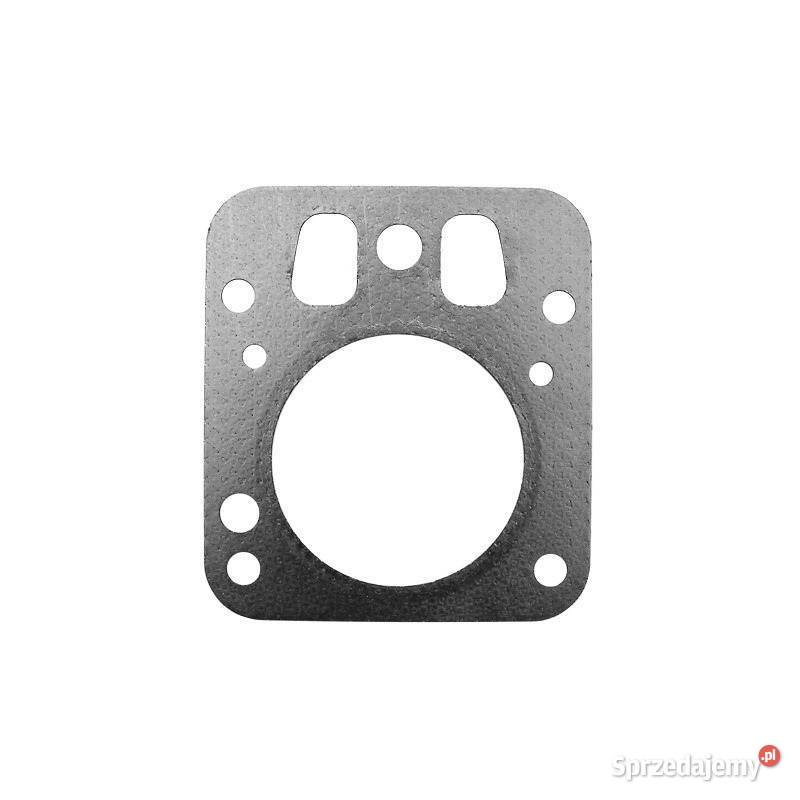 Uszczelka głowicy BriggsStratton Seria 800 Narzędzia ogrodnicze