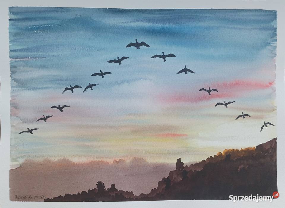 Akwarela Akwarelka Obraz pt Klucz Gęsi 31 x 23
