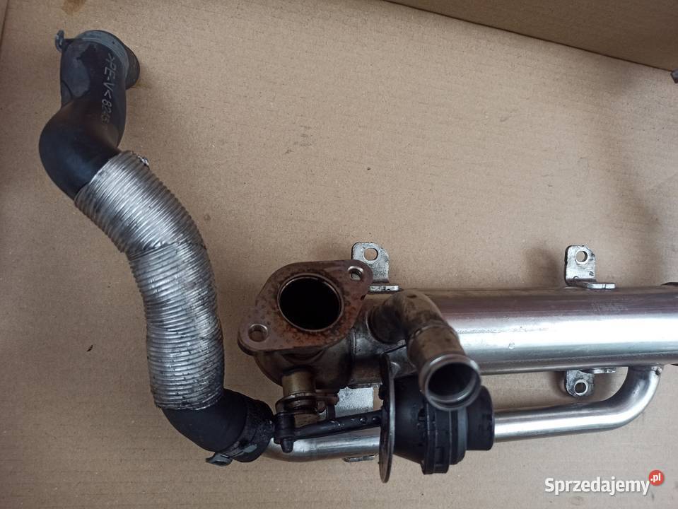 AUDI VW SEAT SKODA 19TDI 105 BLS CHŁODNICZKA Recyrkulacja spalin EGR Bolesławiec