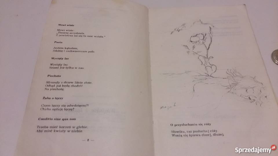 Jan Sztaudynger Śmiesznoty Książka Rok wydania 1968 Rogoźnik sprzedam