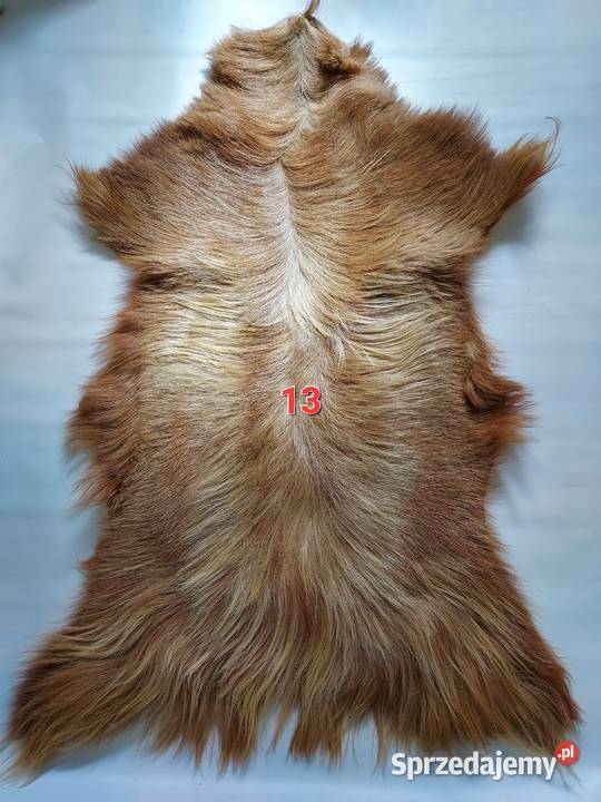 Skóra z Kozy XXL Dekoracyjna Naturalna Skóry Szaflary sprzedam